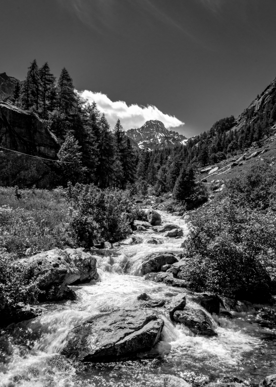 TORRENTE DI MONTAGNA