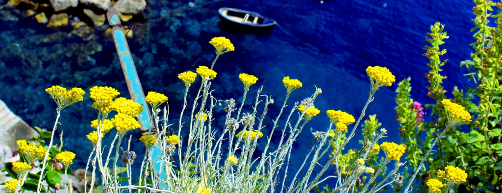 Fiore Gialli