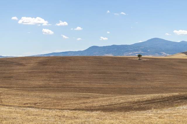 Tipico paesaggio della Val D Orcia