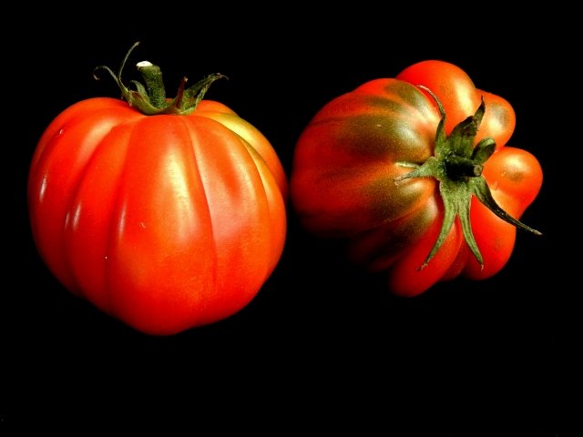 vegetables - tomates