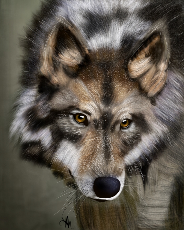 "The Lone Wolf"