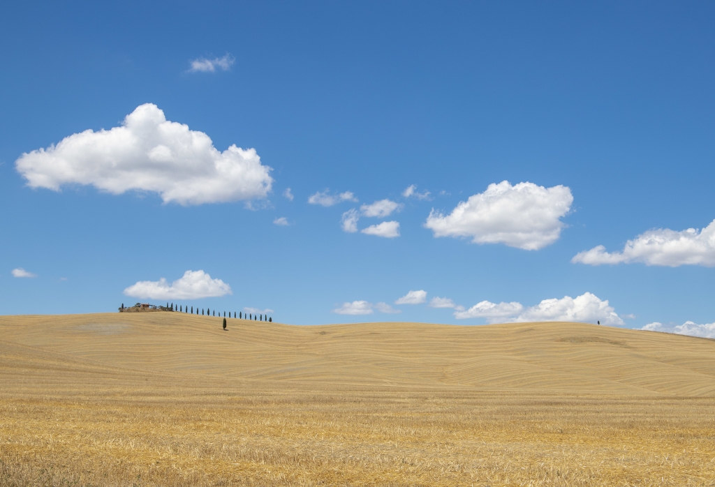 Paesaggio estivo della Val D Orcia