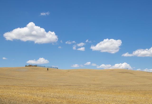 Paesaggio estivo della Val D Orcia