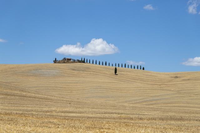 Un campo della Val D Orcia