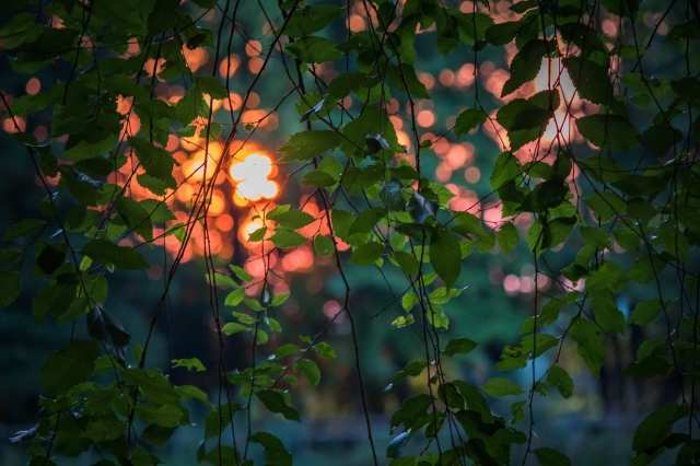 tramonto al parco