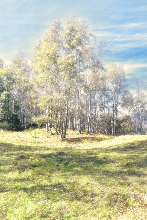 Autunno