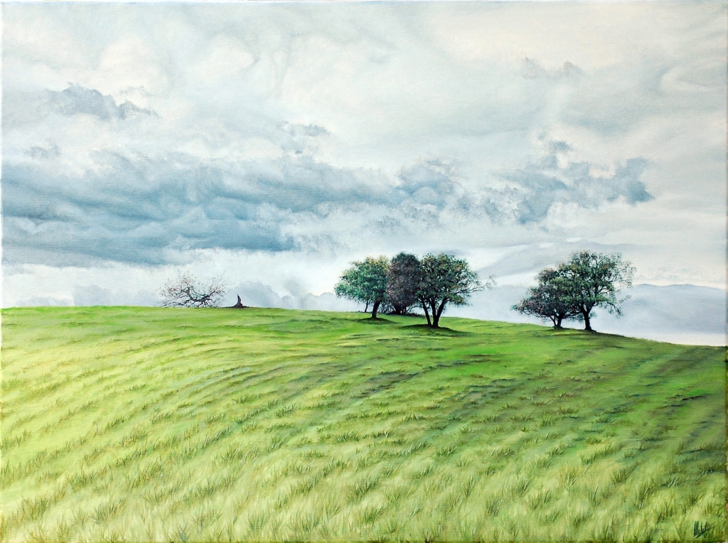 Collina Verde