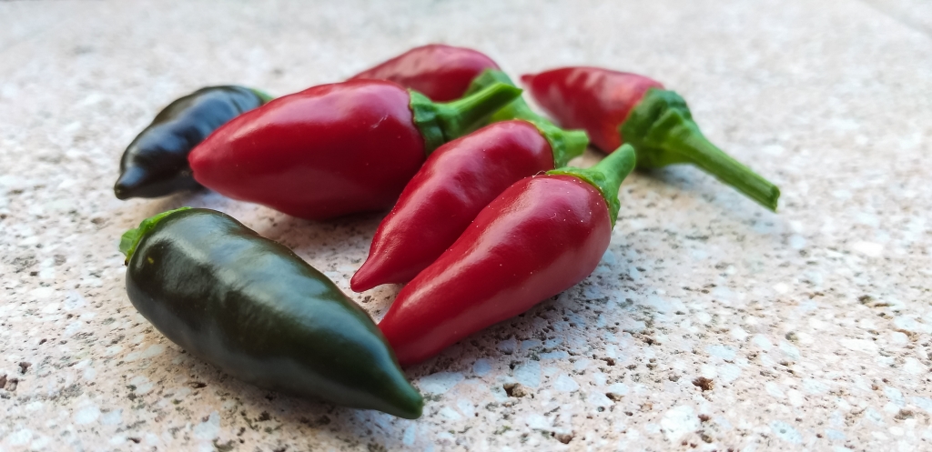 ROSSO DI CALABRIA