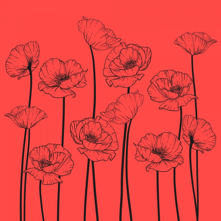 Poppy - red