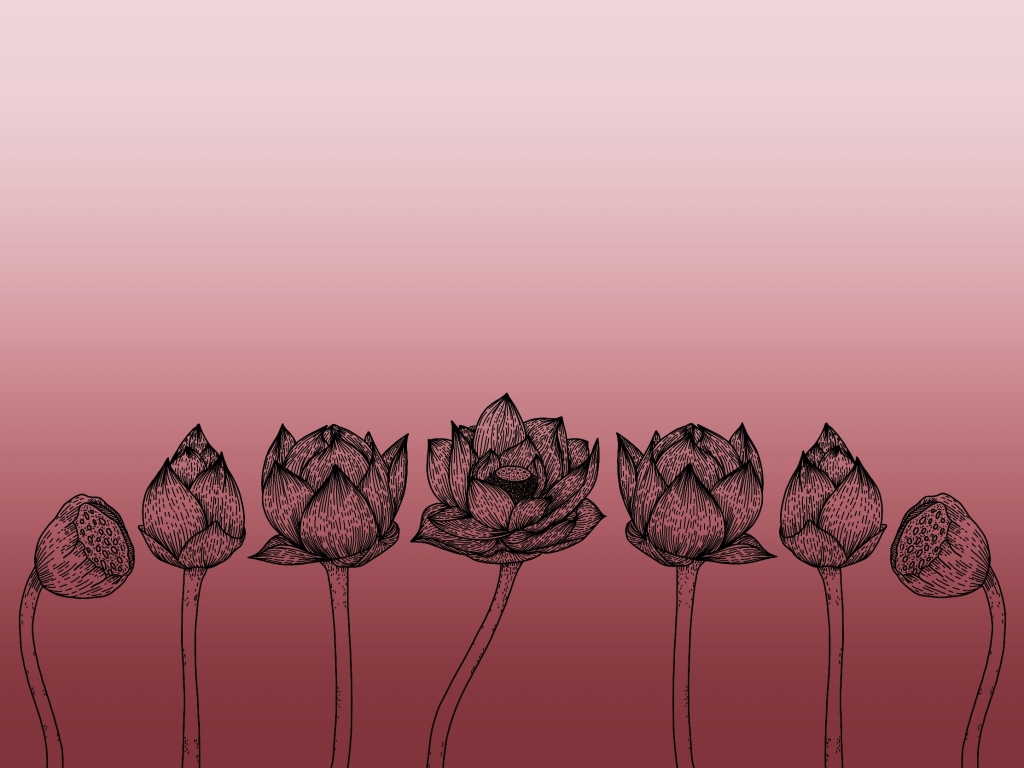 Lotus