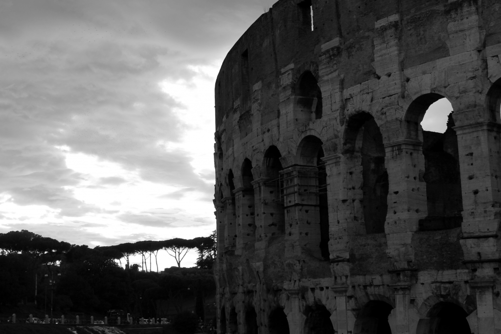 Colosseo,  particolare Profilo