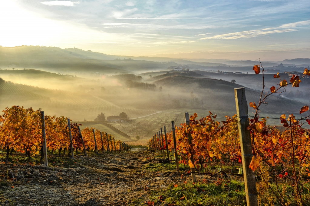 Paesaggio autunnale delle Langhe.