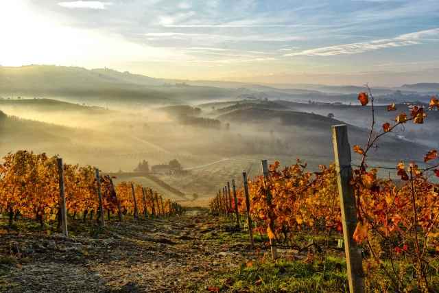 Paesaggio autunnale delle Langhe.