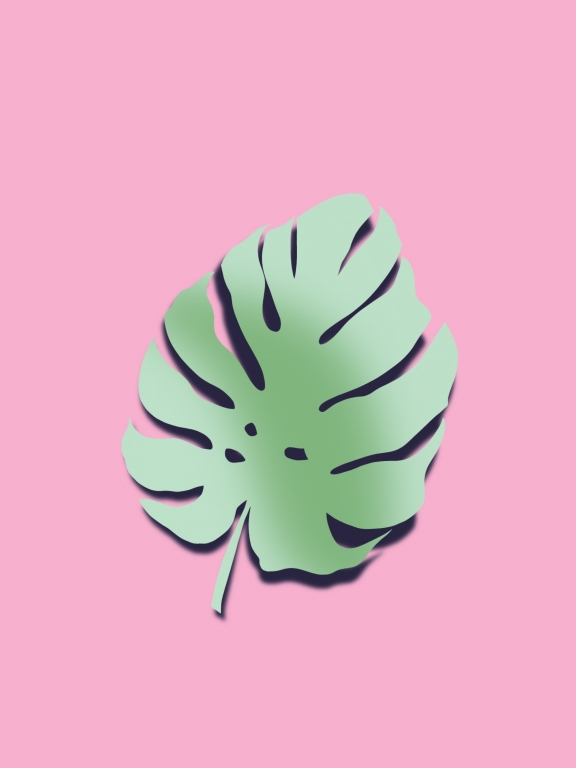 Foglia tropicale