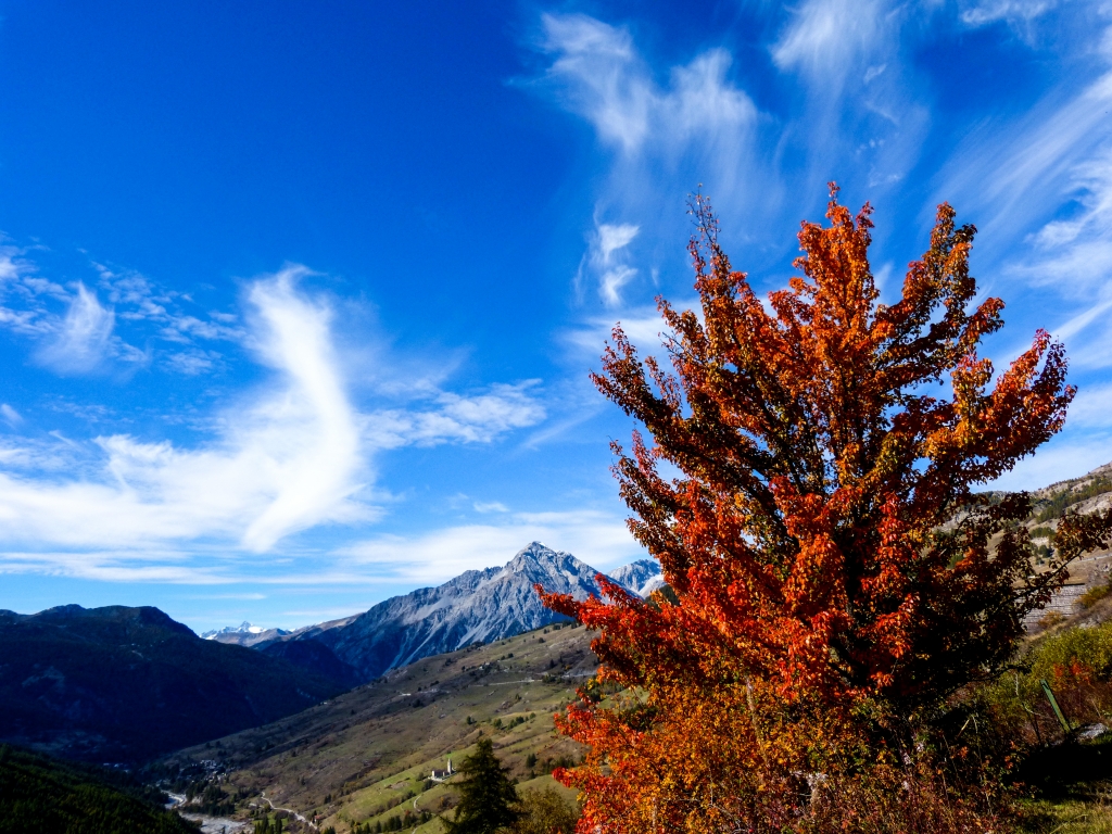 COLORI D' AUTUNNO SULLE ALPI