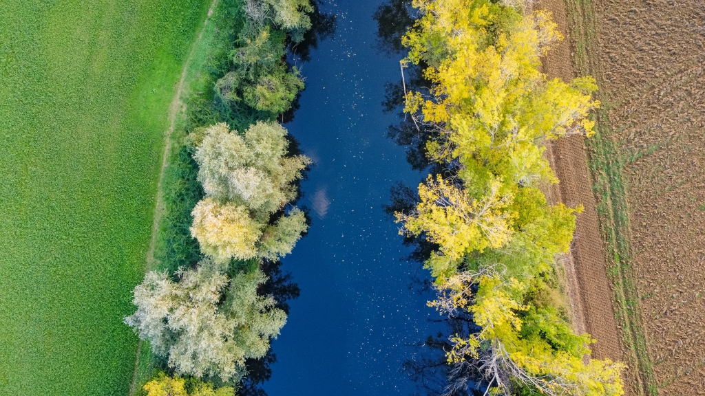 Autunno: Erba, Acqua, Terra. E alberi.
