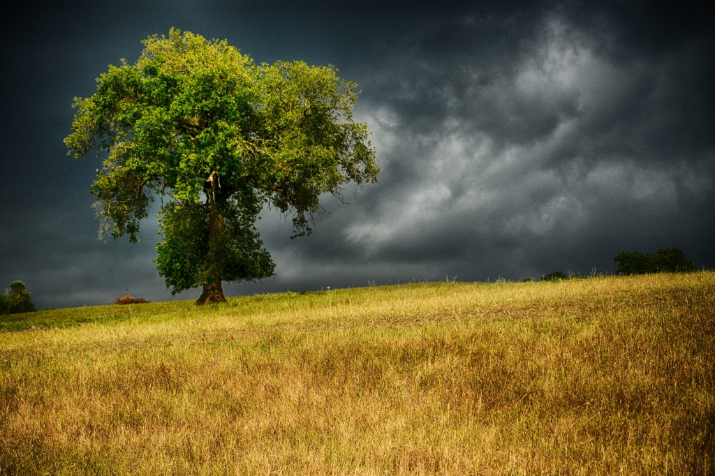 Toscana