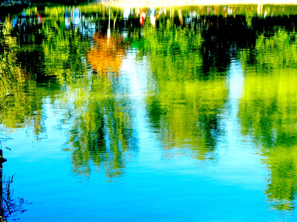 REFLECTIONS ON THE WATER