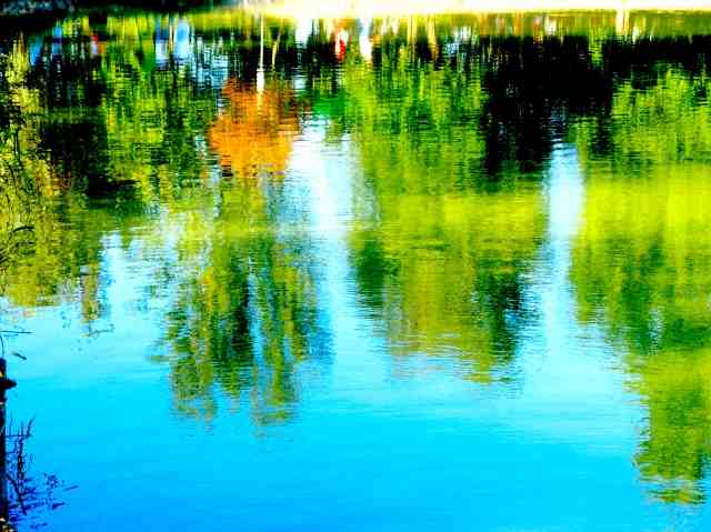 REFLECTIONS ON THE WATER