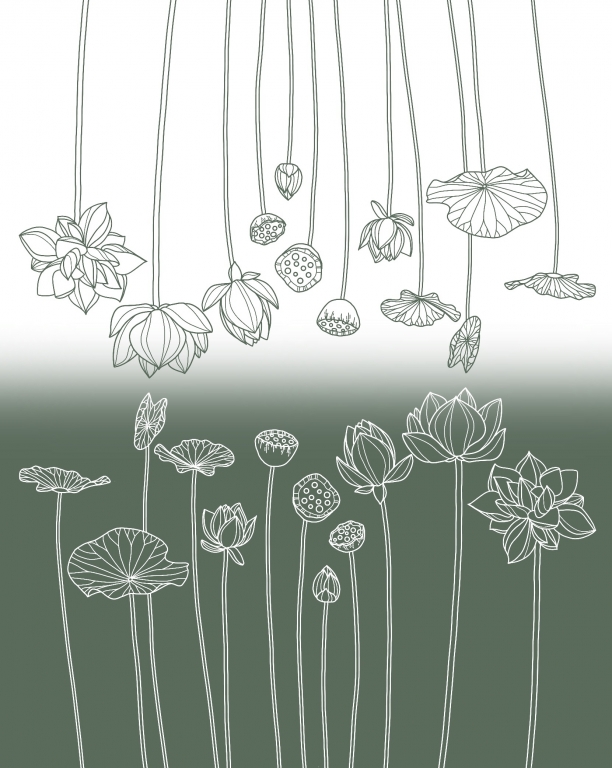 Lotus 2