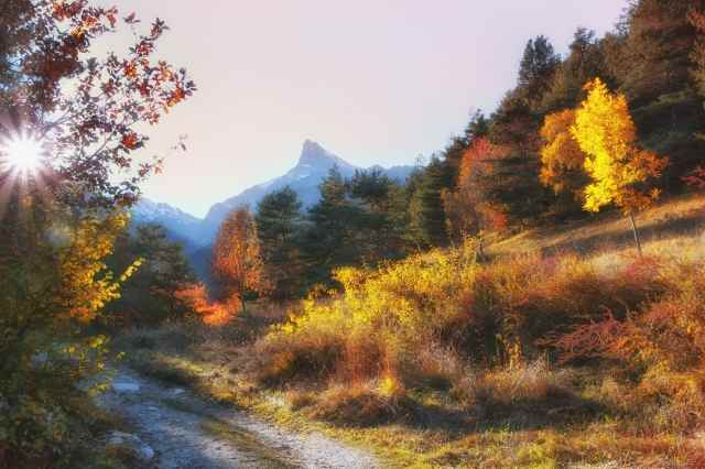 Autunno sul monte Avic