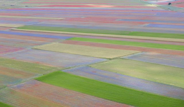 I campi colorati di Castelluccio