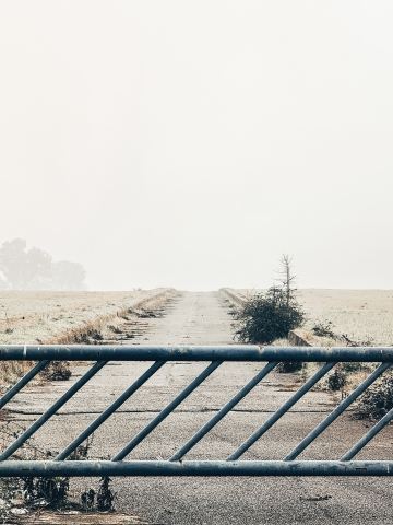 Fog