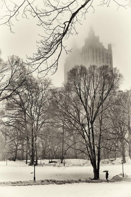 New York - Central Park