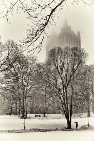 New York - Central Park