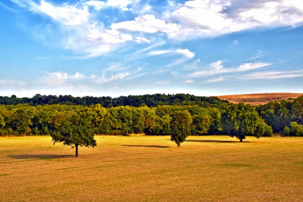 Pittura della natura