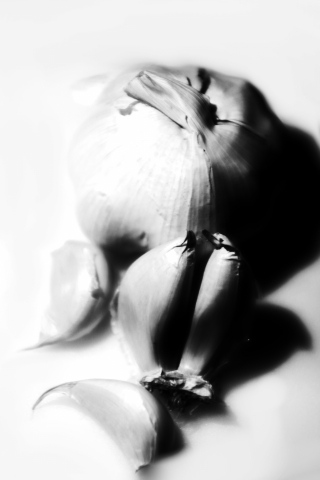 AGLIO