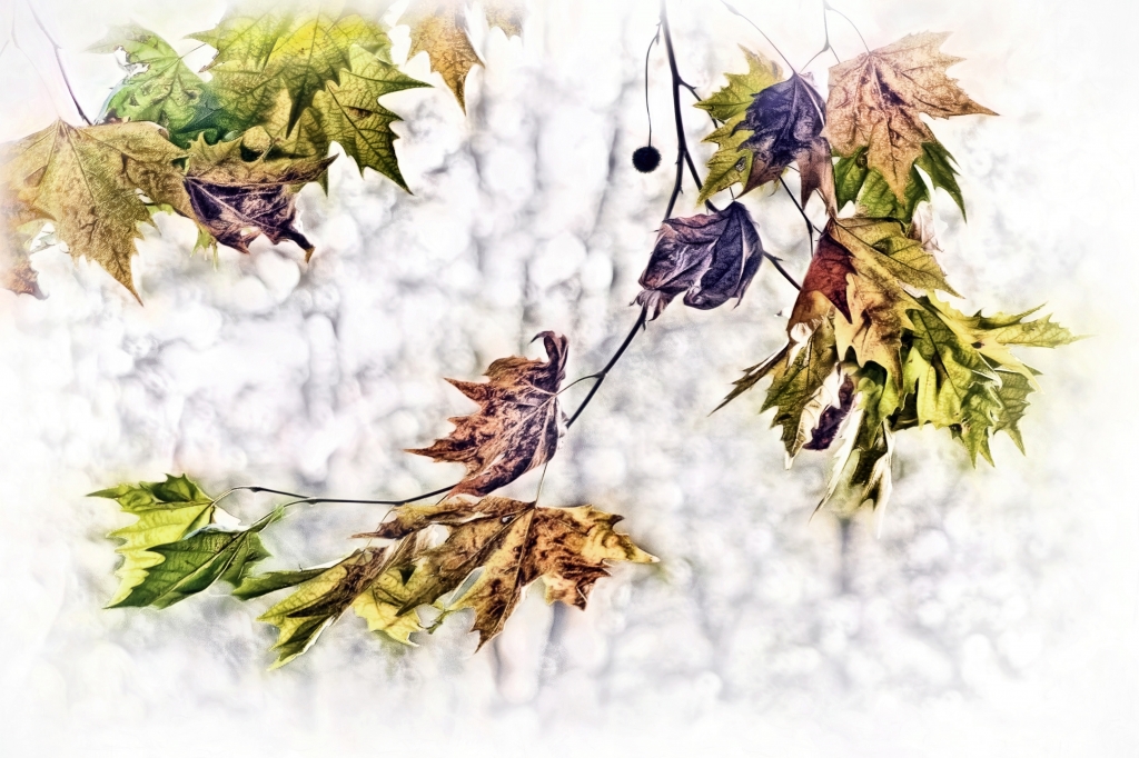 Sipario d'autunno