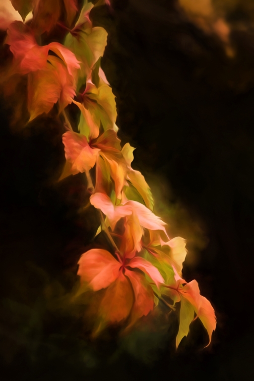 L'autunno in un ramo