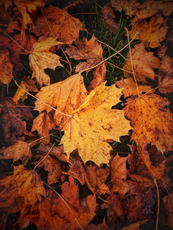 Autunno