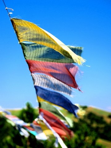 Colori al vento