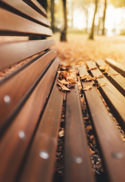 L’autunno