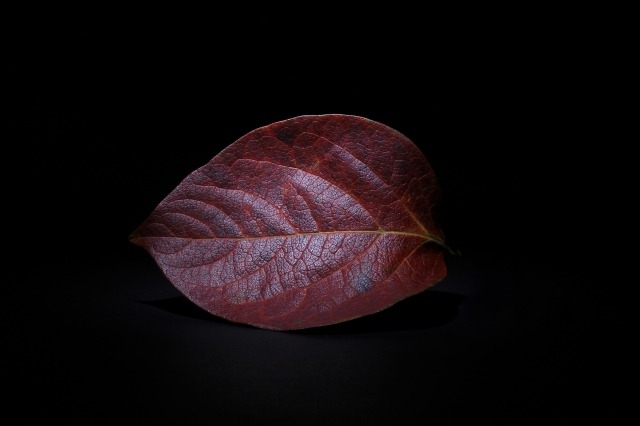 Autunno rosso