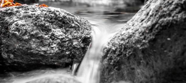 Armonia
