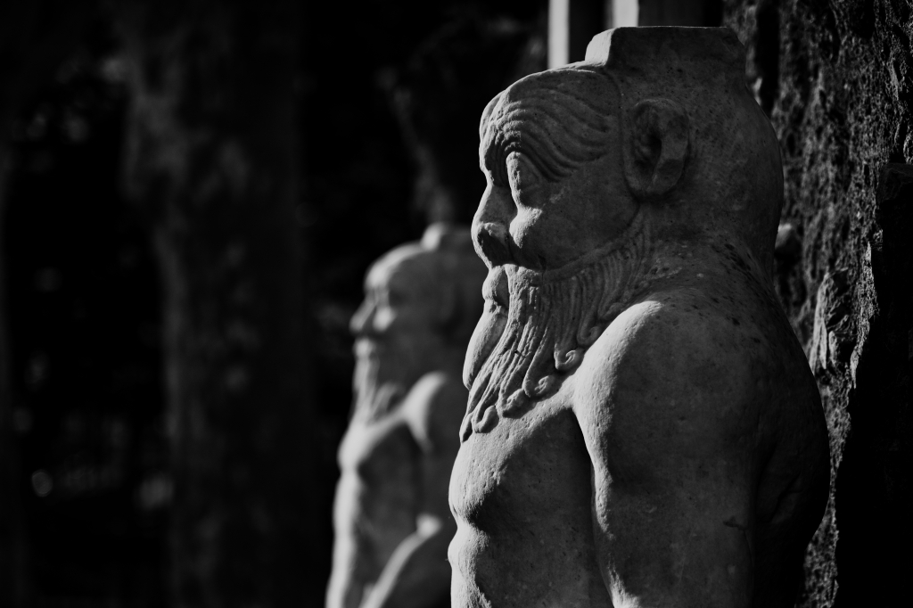 I guardiani della porta alchemica