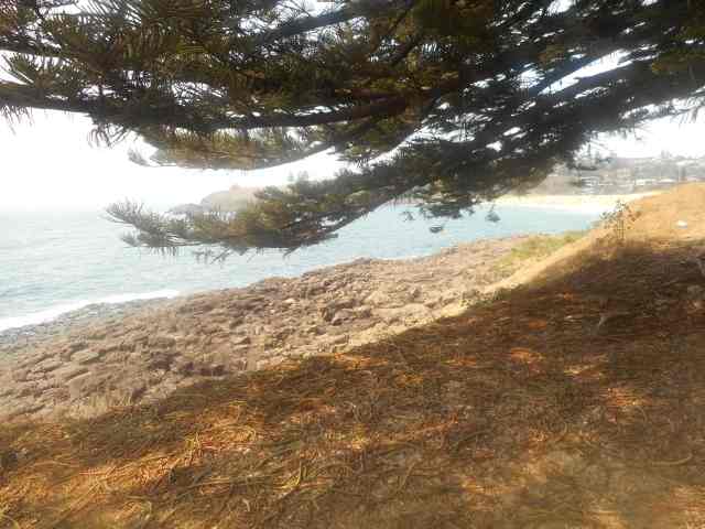 paradise