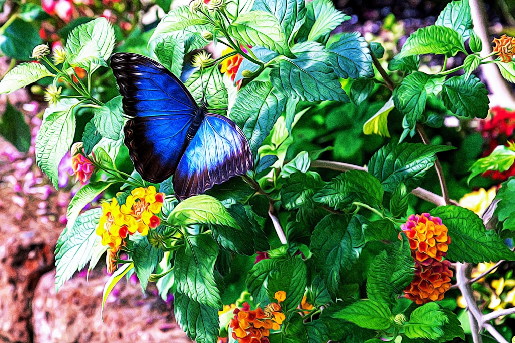 Farfalla blu su fiore rosso e giallo