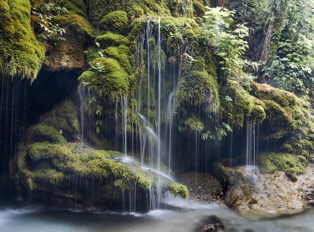 Cascate capelli di Venere