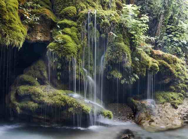 Cascate capelli di Venere