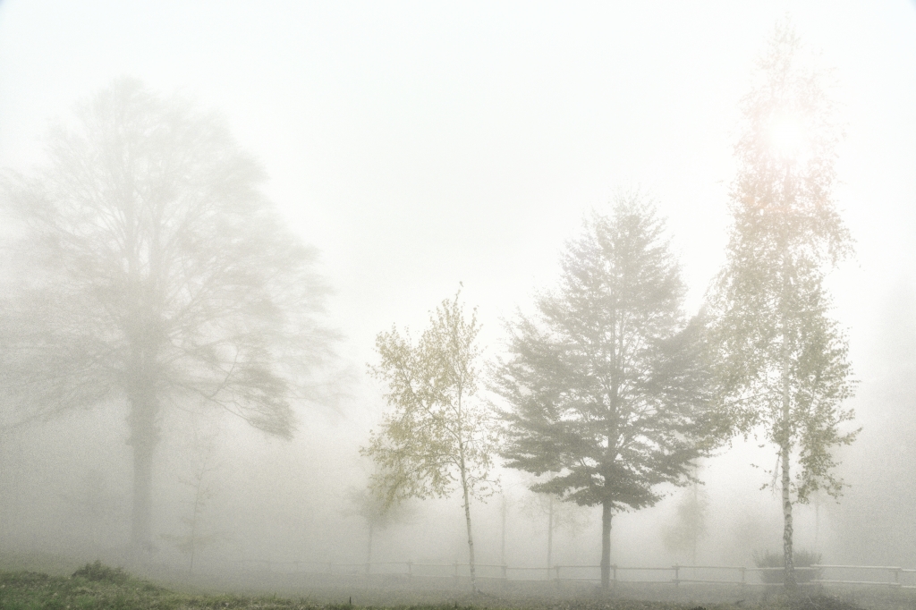Nebbia autunnale