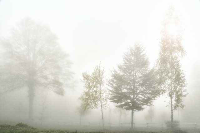 Nebbia autunnale