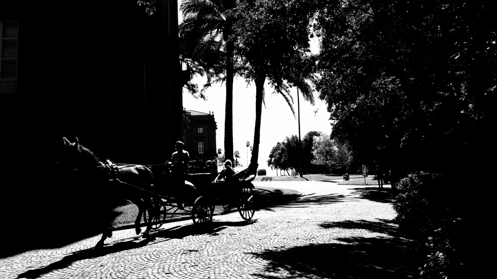 Black and White carriage