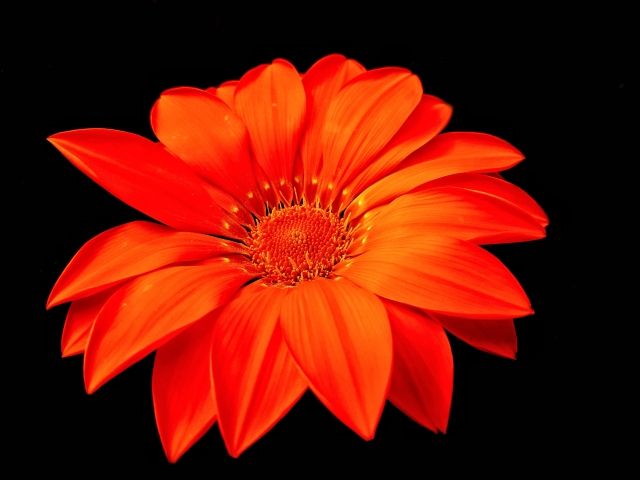 Arancione
