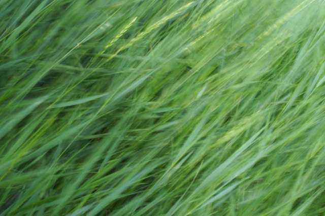 La natura in movimento