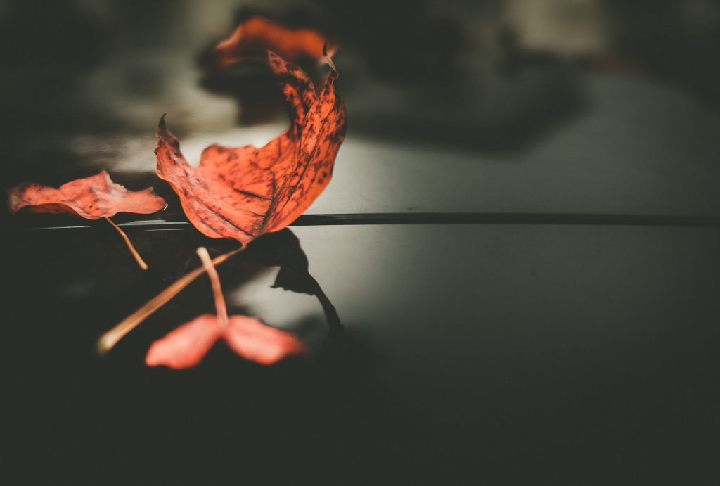 Rosso e nero