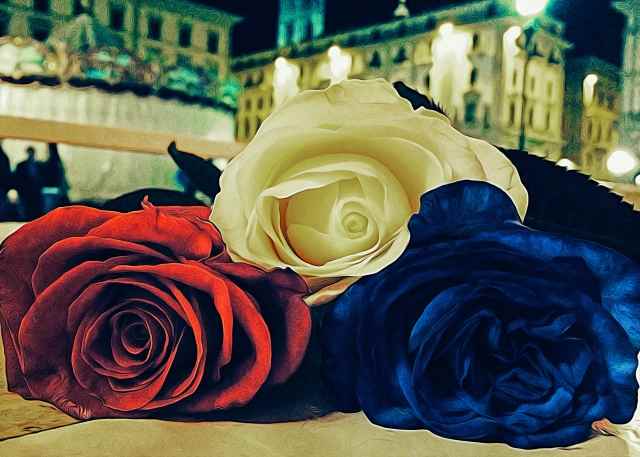 3 rose